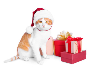 Cute cat in Santa Claus hat and gift boxes on white background