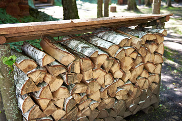 Obraz premium Pile of birch firewood