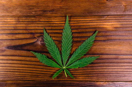 Leaf of the cannabis plant on wooden table. Top view