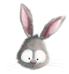 cute bunny rabbit head illustration
