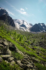 Fototapeta premium Altai mountains