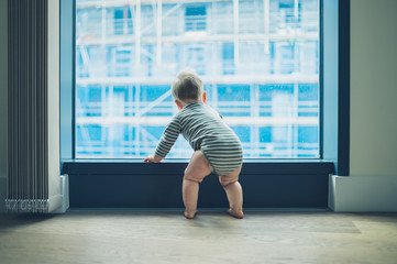Little baby by window in high rise apartment © LoloStock