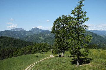 Grassy meadows in Skofja Loka hills.