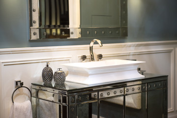 Expensive Bathroom Sink and Mirrored Cabinet