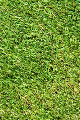 soccer field green grass background texture