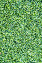artificial grass background texture