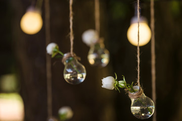 light bulb garland on the wedding