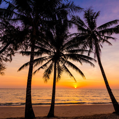 Naklejka na ściany i meble Palm trees silhouette at sunset. sunset and beach. Beautiful sunset above the sea