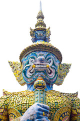 Thai giant isolated picture for dicut