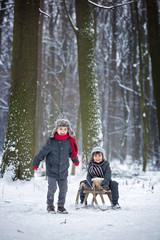 Fototapeta na wymiar Happy children in a winter park, playing together with a sledge