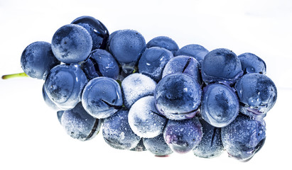 Red grape vine, frozen, viniculture