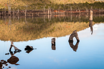 Tranquilité sur le lac de Yaté