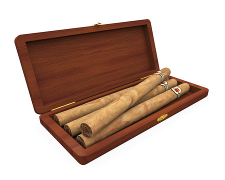Cigars in the Humidor Isolated