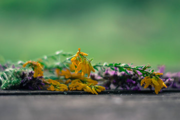 summer flowers on the table, on nature background