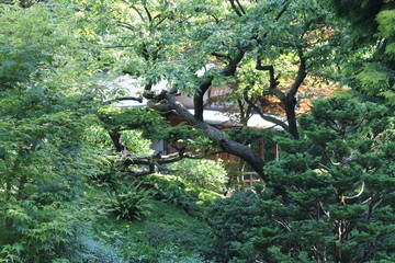Jardin Albert Kahn - Paris
