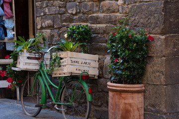 Fototapeta na wymiar Boxes with plant on a green Italian Bicycle. Florence, Italy.