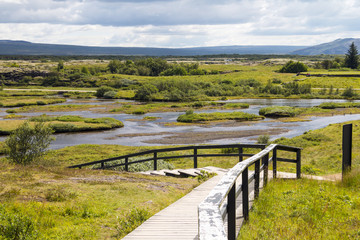 Fototapeta na wymiar Beautiful view of Iceland, national park of Thingvellir, summer day. Selective focus.