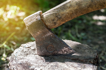 Closeup shot of metal axe in piece of log, selective focus