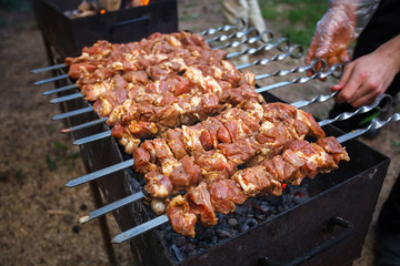 kebab cooked on the grill outdoors