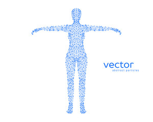 Abstract vector illustration of female body.