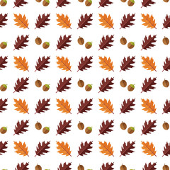 Vector seamless pattern with various colorful autumn leaves on a white background.