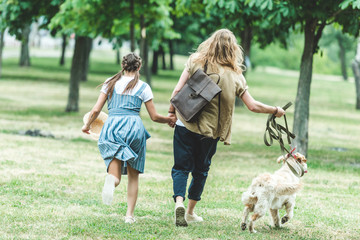 Obraz premium couple walking with dog