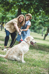 couple walking with dog