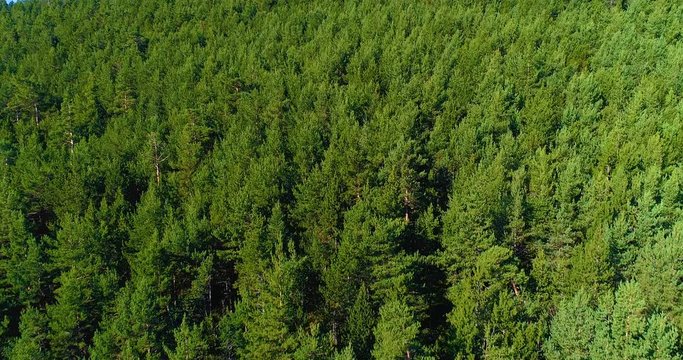 for&ecirc;t vu du ciel, a&eacute;rien