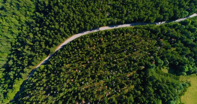for&ecirc;t vu du ciel, a&eacute;rien