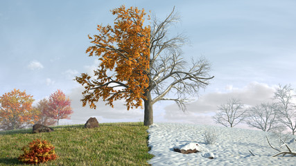 from autumn to winter