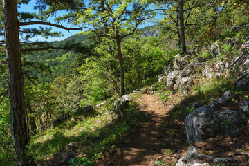 Fototapeta na wymiar Beautiful nature hiking trails