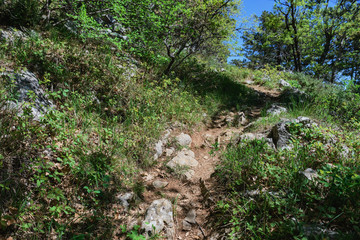 Fototapeta na wymiar Beautiful nature hiking trails