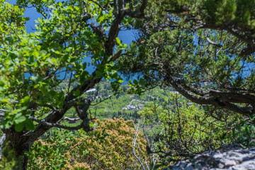 Beautiful nature hiking trails