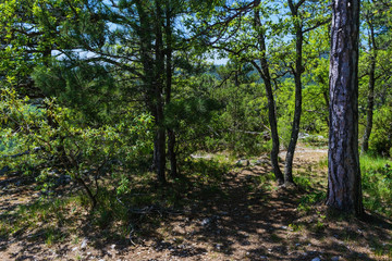 Beautiful nature hiking trails