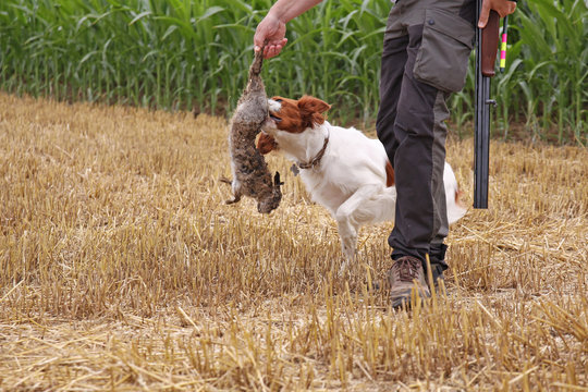 j&auml;ger, jagdhund und &uuml;bungsbeute
