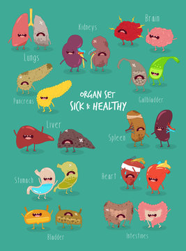 Healthy and sick internal organs. Funny illustration art