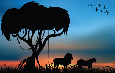 African savanna