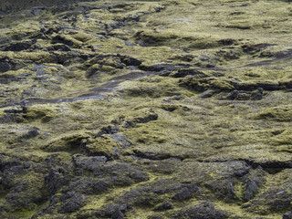 Arrière-plan et texture : lave volcanique recouverte de mousse (Islande)
