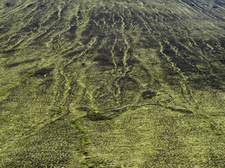 Arrière-plan et texture : terre recouverte de mousse verte (Islande, Landmannalaugar)