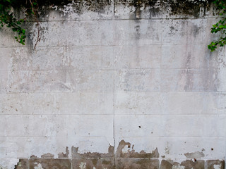 texture broke wall dry, Abstract Background Cement, white brick wall texture and background, Wall...