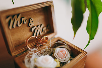 Two beautiful wedding rings of the bride and groom