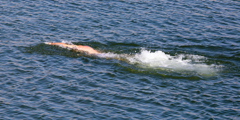 Obraz premium The man is swimming in the lake