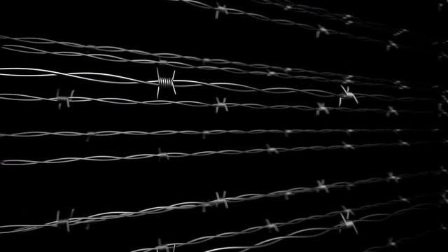 Fance.Barbed wire. Concept. Loopable. Matte channel.