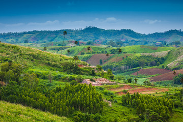 Fototapeta premium Natural View in Khao Kho, Thailand
