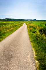 Obraz premium Gravel path in Italian countryside