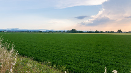 stormy clouds over farmland