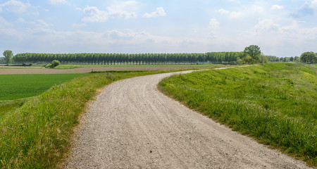 Fototapeta premium Gravel path in Italian countryside