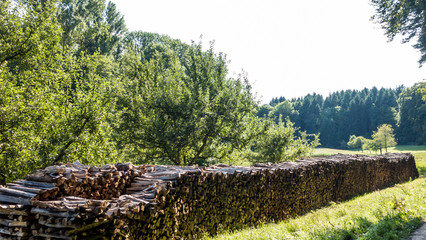 Brennholzlager © focus finder