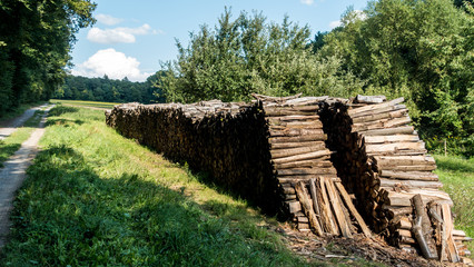 Brennholzlager © focus finder