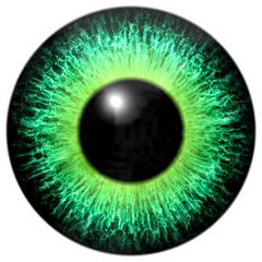Beautiful scary abstract monster eye texture
